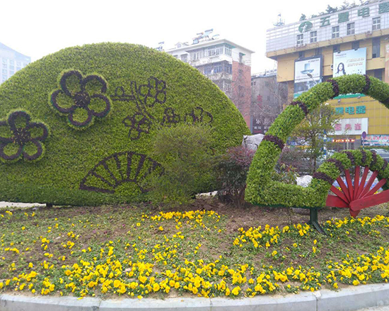 五色草造型设计 五色草造型设计
