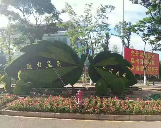 沧州大型立体花坛团队