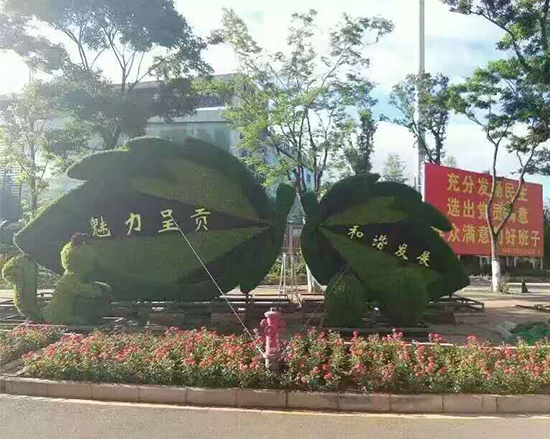 重庆大型植物绿雕造型设计团队