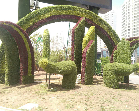 甘肃大型植物绿雕造型厂家