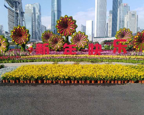 徐州大型五色草造型设计厂家
