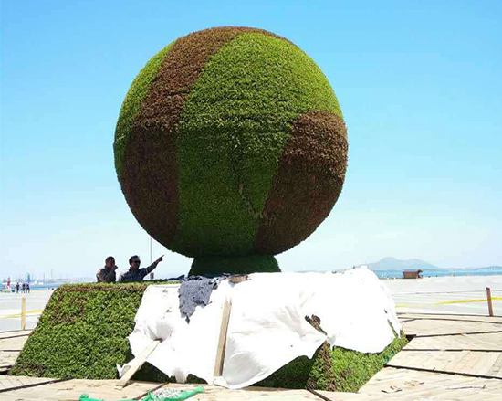 呼和浩特大型植物绿雕造型设计公司