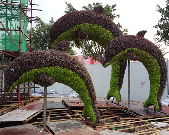 南阳大型植物绿雕造型设计团队