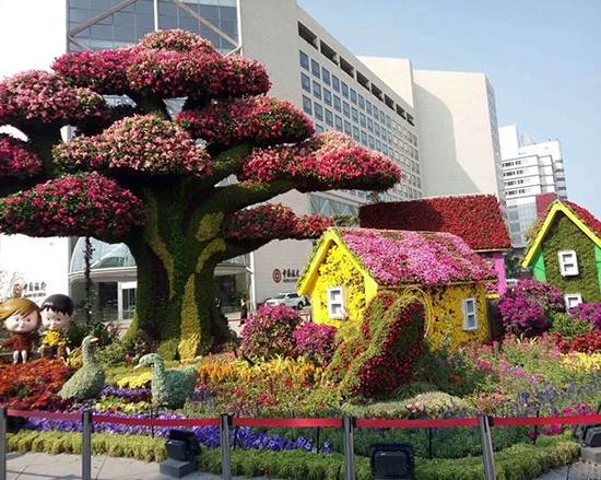 立体花坛