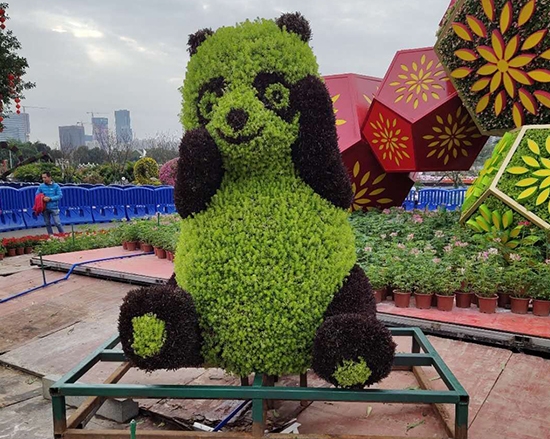 五色草熊猫造型