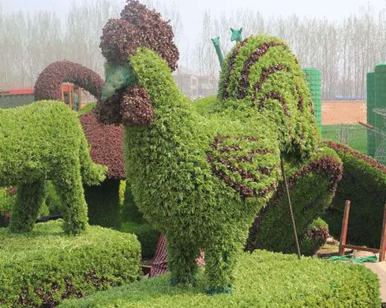 烟台五色草鸡造型