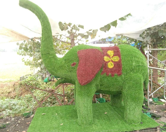 大象五色草造型